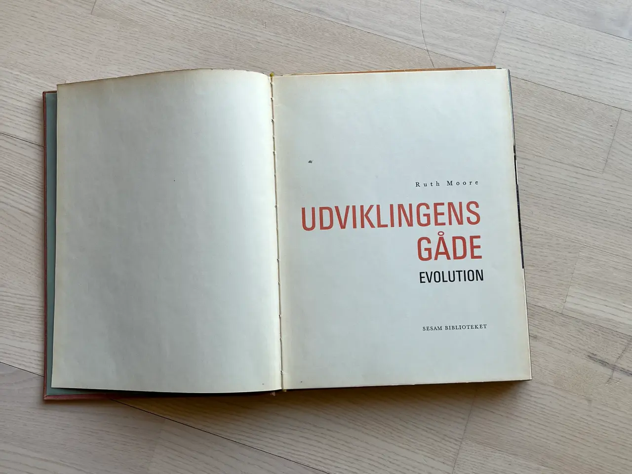 Billede 2 - Udviklingens gåde - Evolution