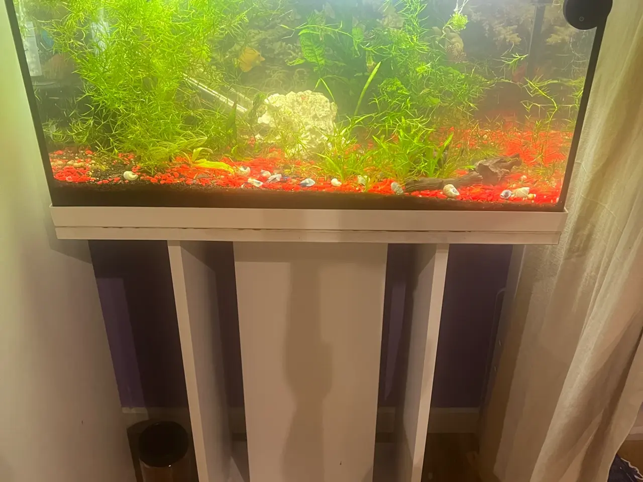 Billede 1 - Eheim akvarie
