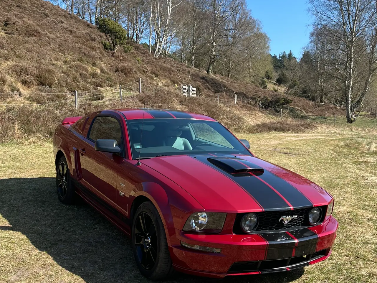 Billede 3 - Ford Mustang GT V8