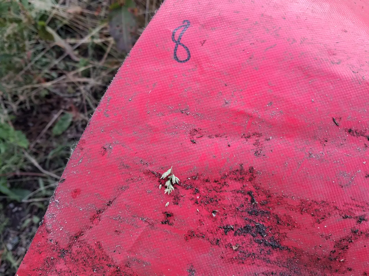 Billede 1 - Lastbil presenninger sælges