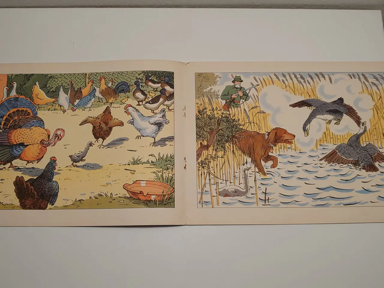 Billede 4 - H.C.Andersen:Den grimme Ælling. ill. A. Riber.1944