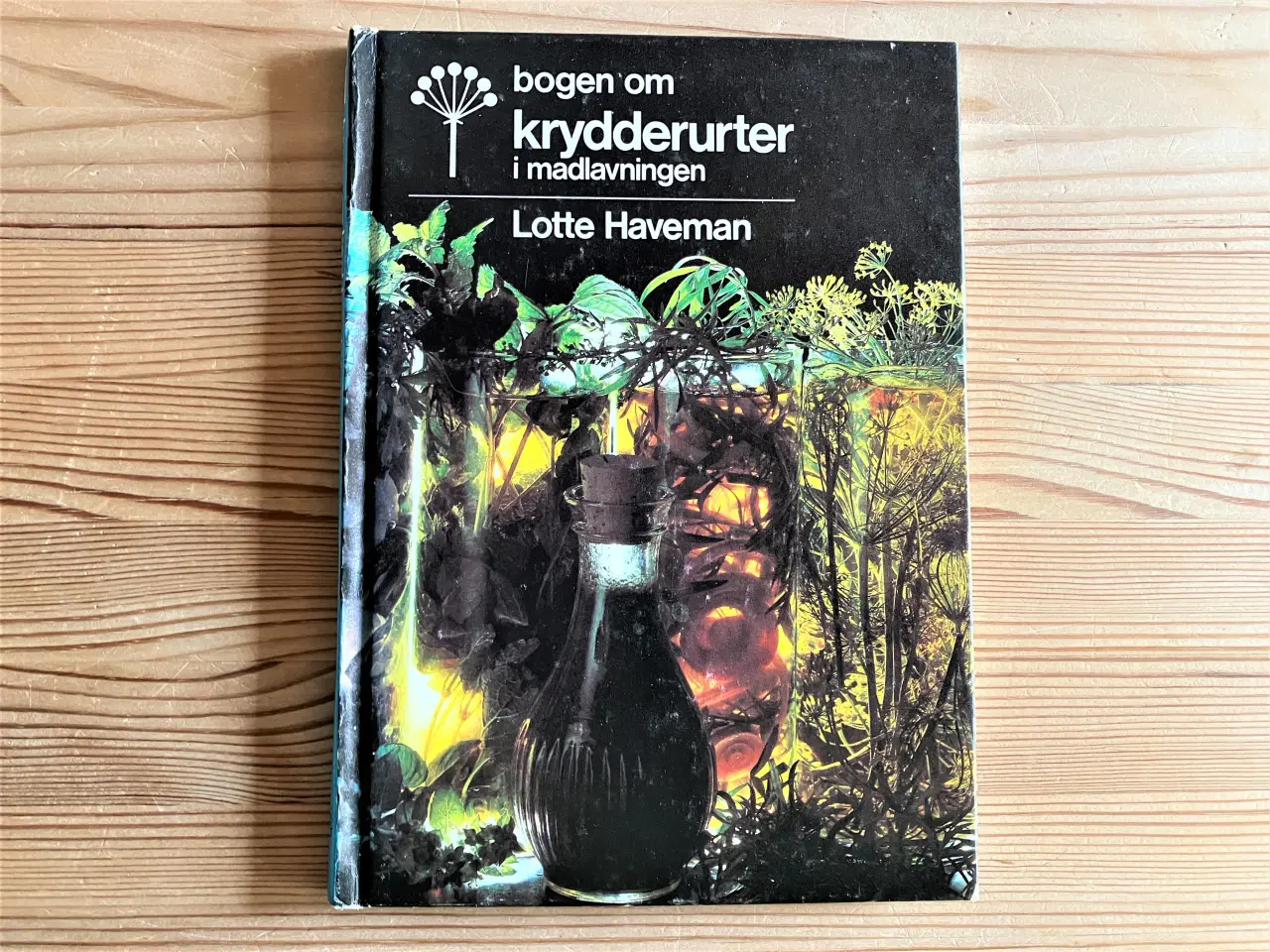 Billede 1 - Lotte Haveman