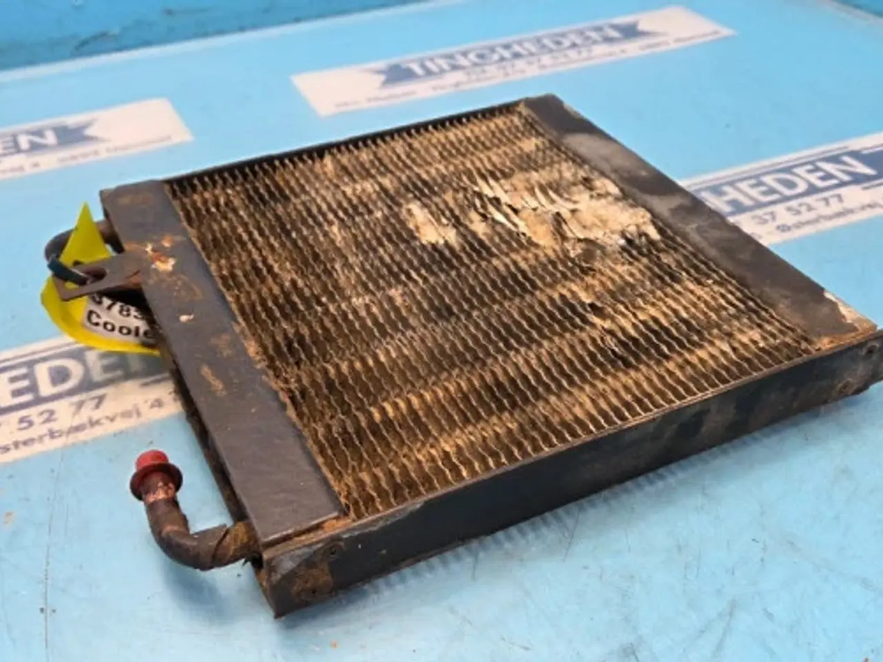 Billede 15 - Massey Ferguson 6260 Køler 3783923M1