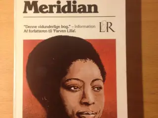 Meridian, Alice Walker