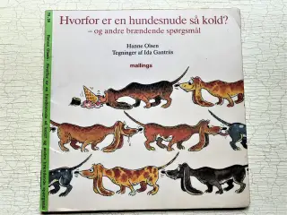 Hvorfor er en hundesnude så kold?