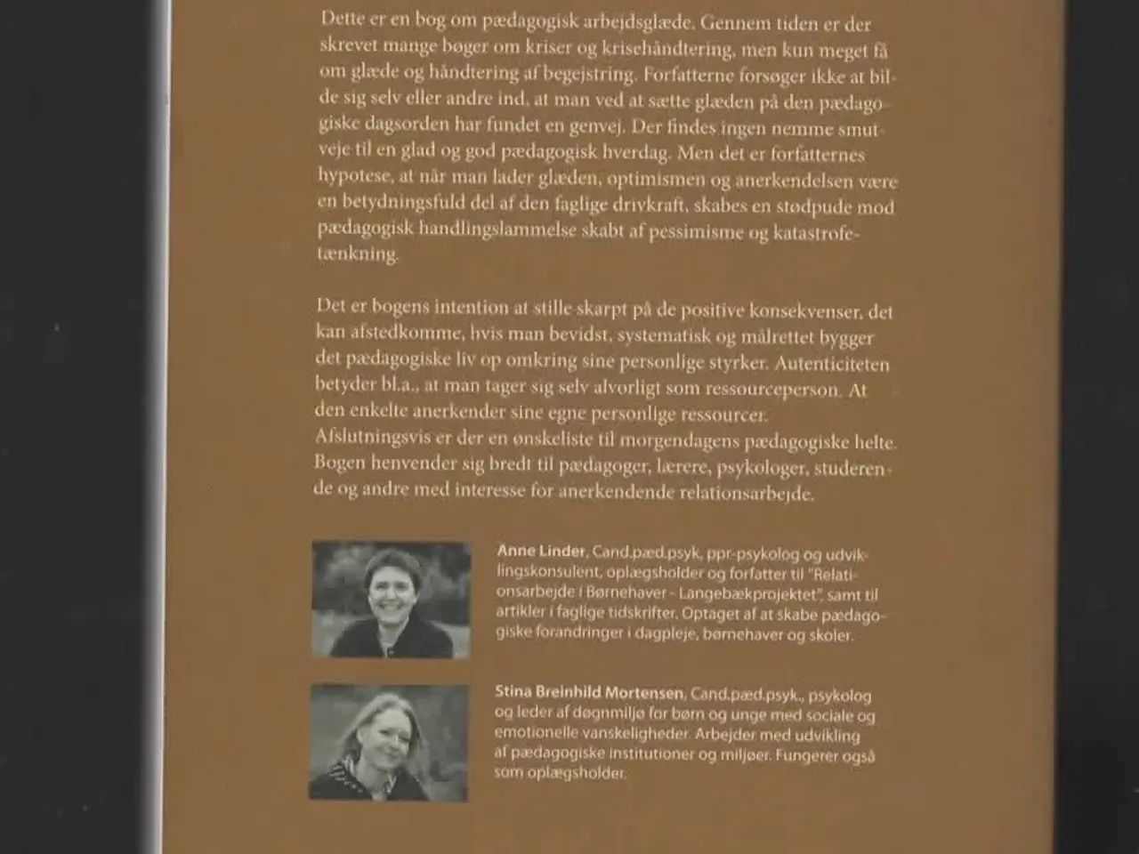 Billede 1 - En positiv tilgang til pædagogik