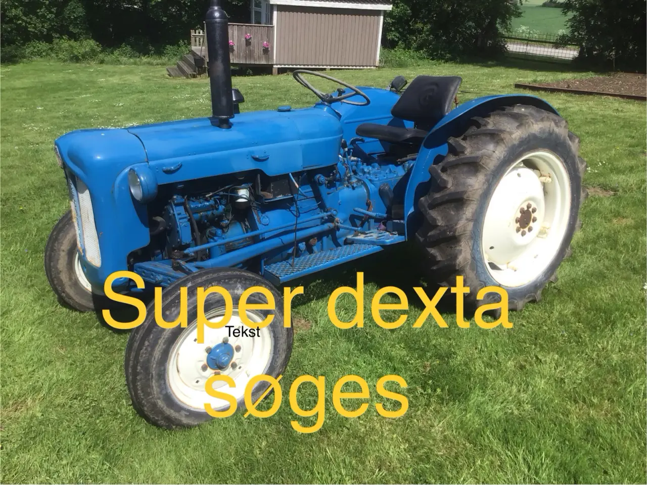 Billede 1 - Søger super dexta
