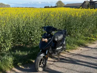 2021 Motocr hot 50 4t euro 5 efi