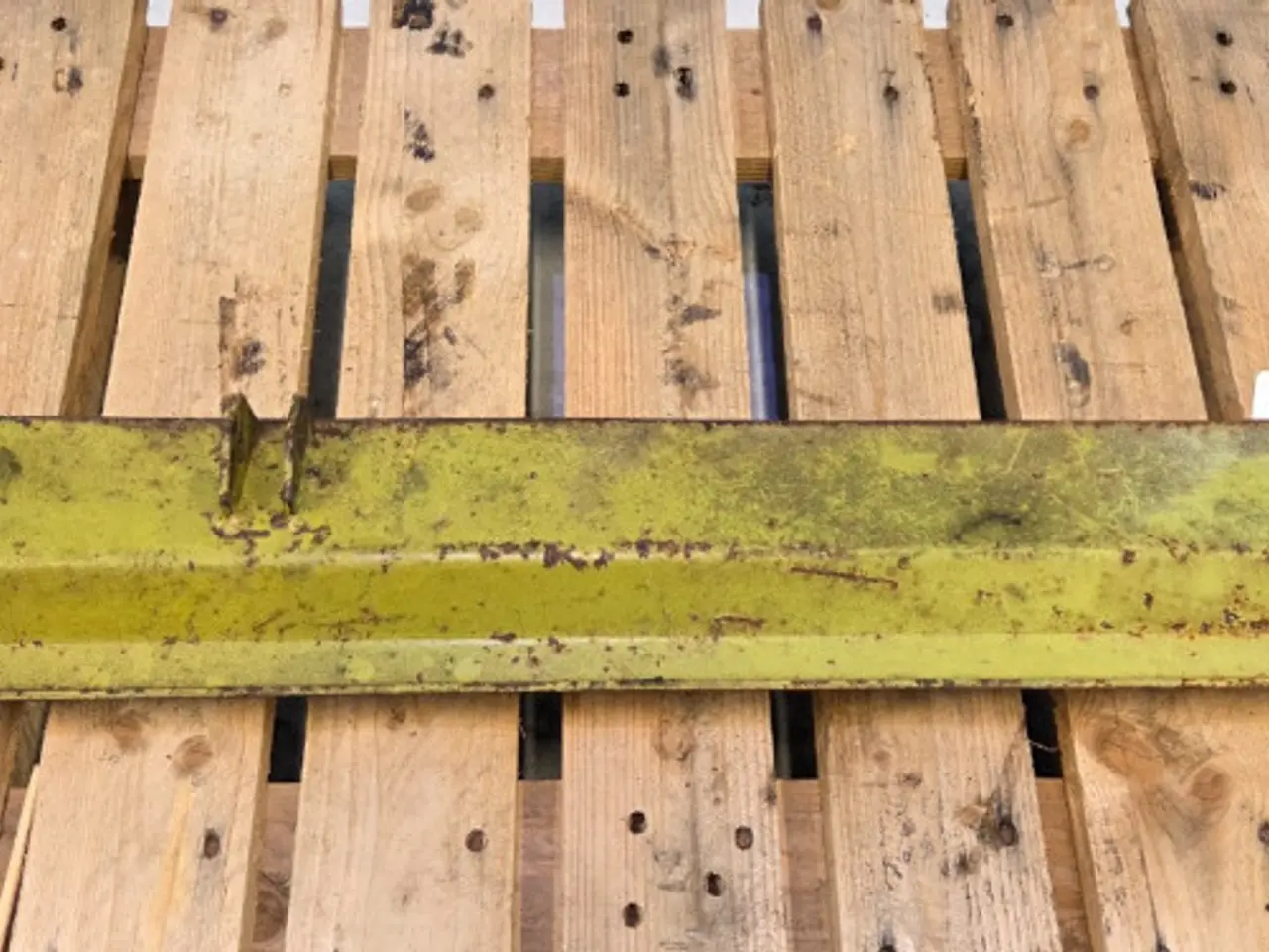 Billede 2 - Claas Jaguar 850 Plade 3244240
