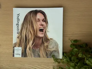 Yndlingsstrik 4  -  Katrine Hannibal