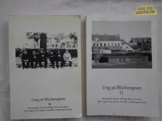 Blicher Egnen