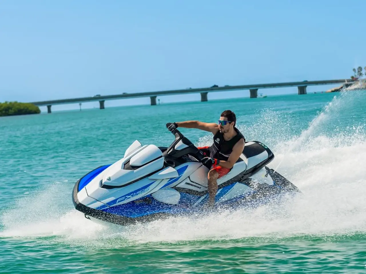Billede 3 - Yamaha FX HO