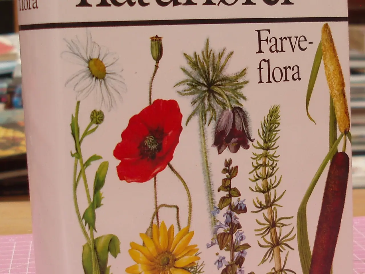 Billede 1 - Lademanns Naturfører Hardback Fejlfri