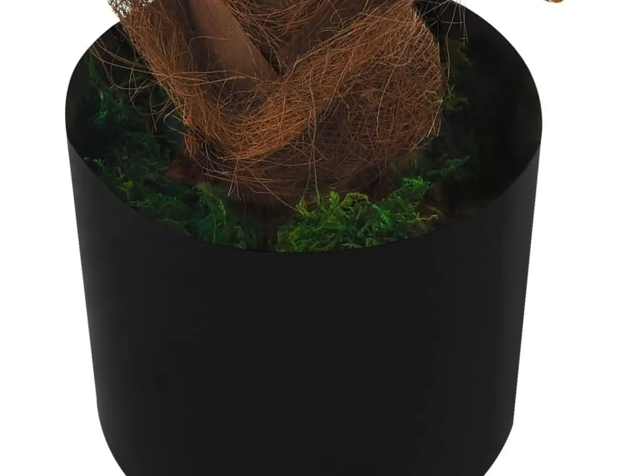 Billede 5 - Kunstig cycaspalme med potte - grøn, 130-140 cm