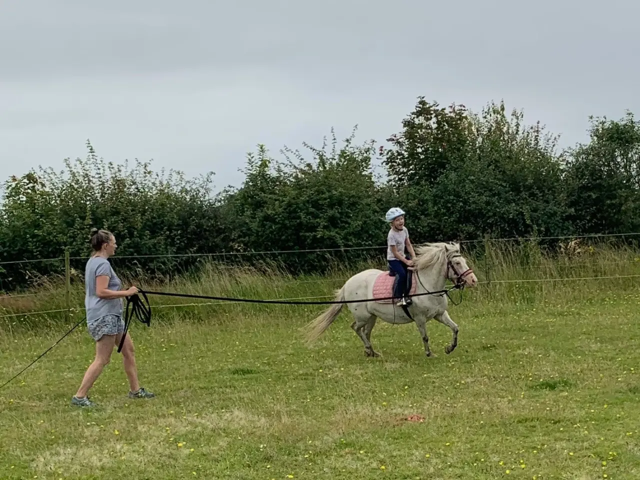 Billede 9 - Knabstrupperpony til ridning eller avl