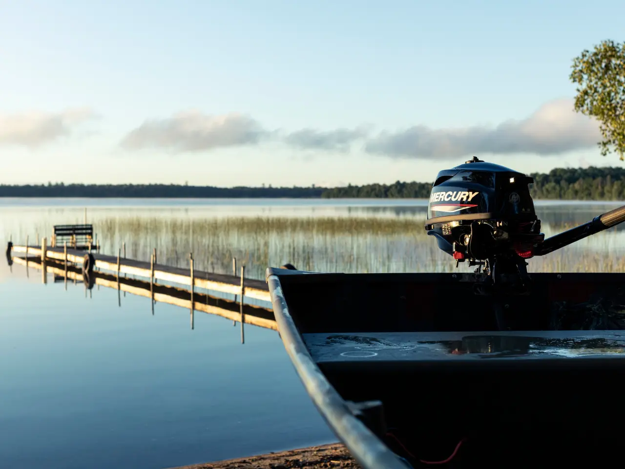 Billede 4 - Mercury F 3.5 MH