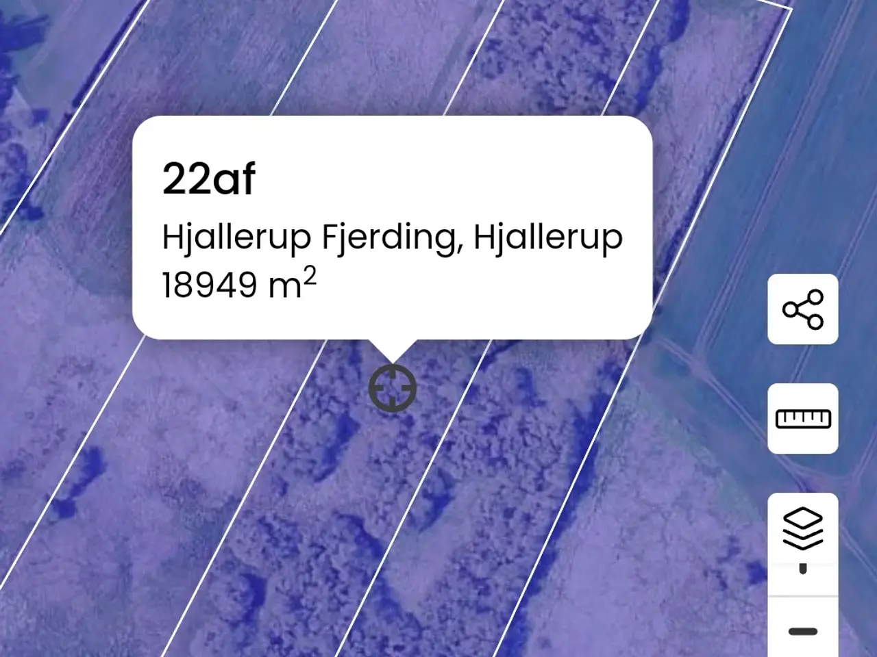 Billede 1 - Frijord Hjallerup,Nordjylland 