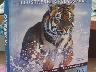 Børnenes Dyrebog -Illustreret opslagsværk