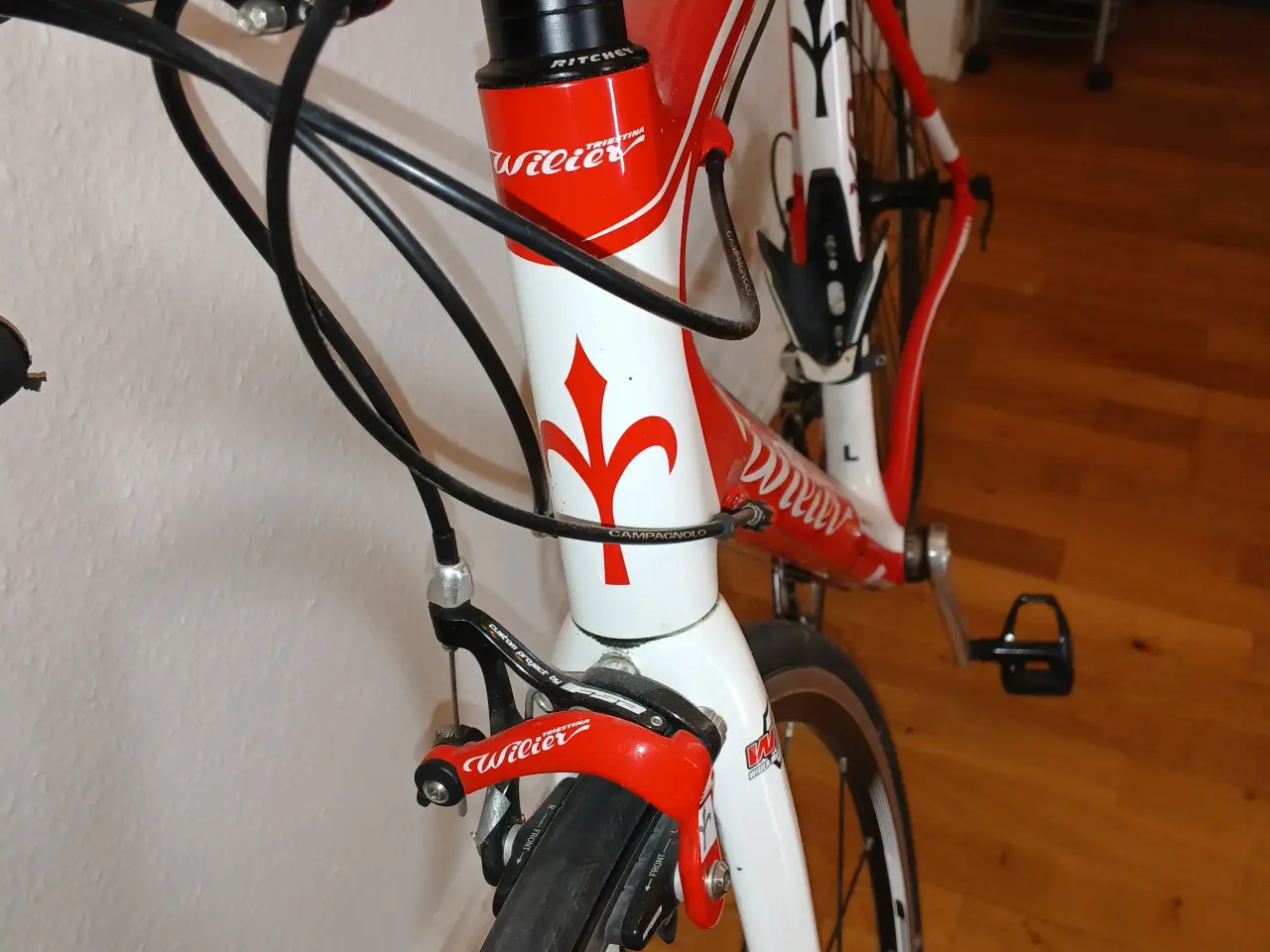 Billede 3 - Wiener triestina resercykler
