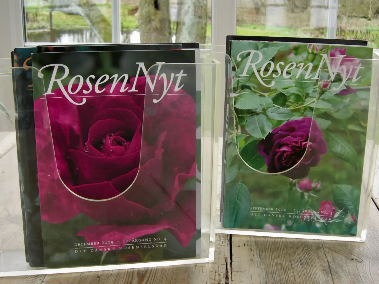 Billede 3 - ROSEN NYT, DET DANSKE ROSENSELSKAB, ROSER, HAVEN