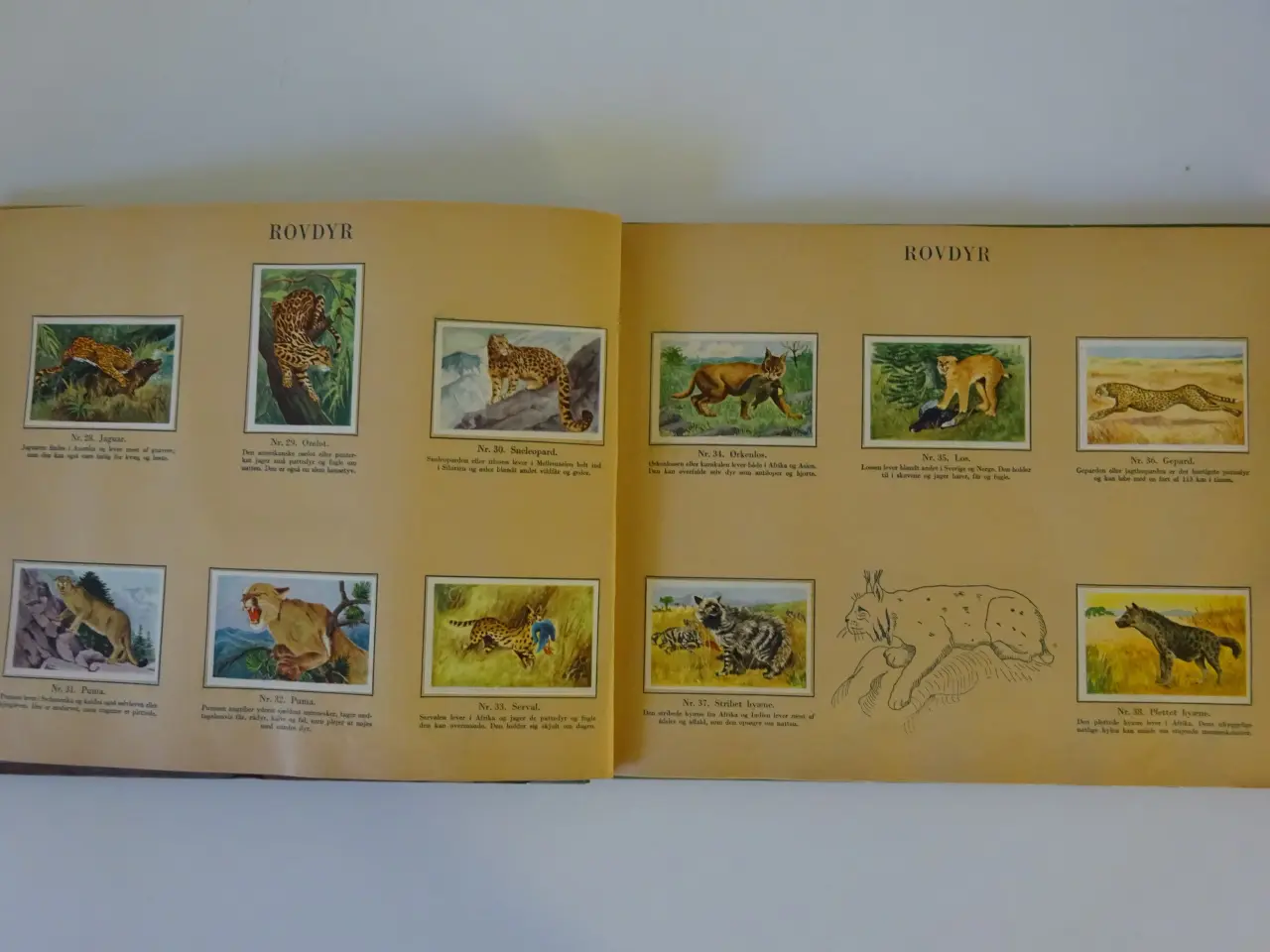 Billede 3 - Danmarks Album