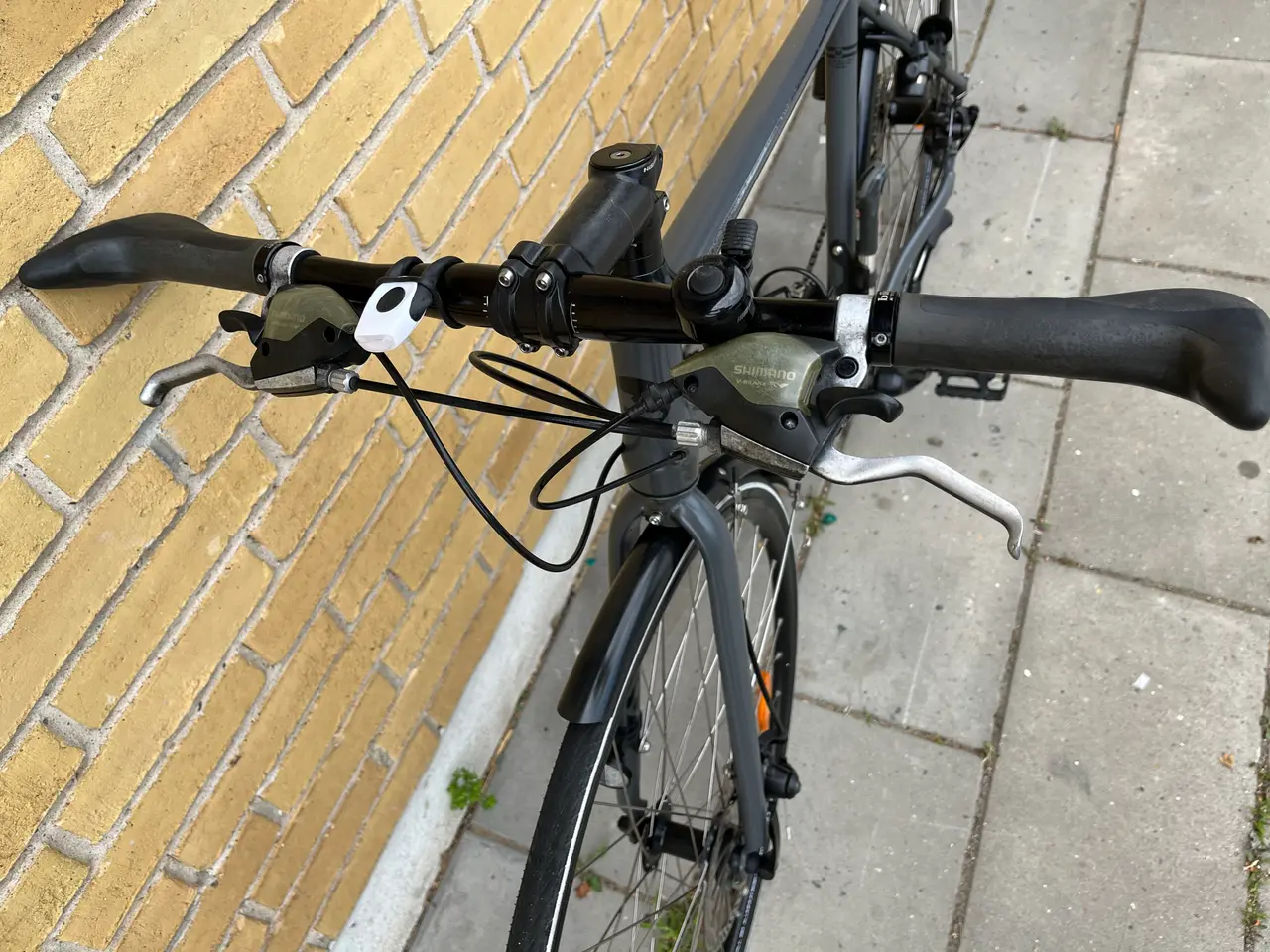 Billede 4 - Nishiki herre race