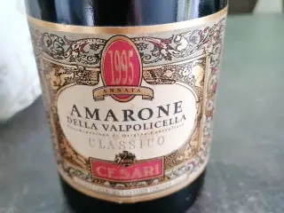 Amarone Della Valpolicella classico 1995