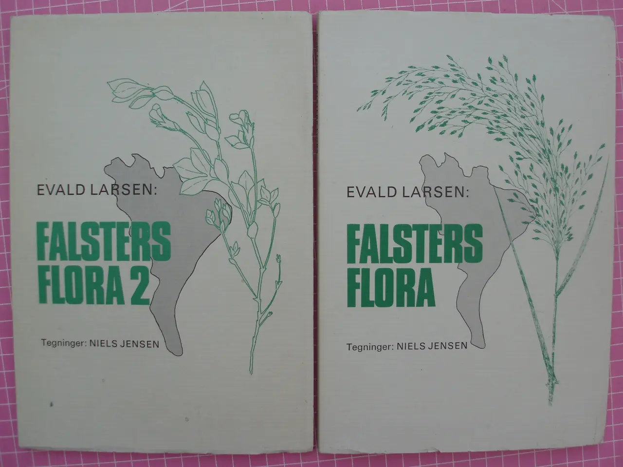 Billede 1 - Falsters flora af Evald Larsen