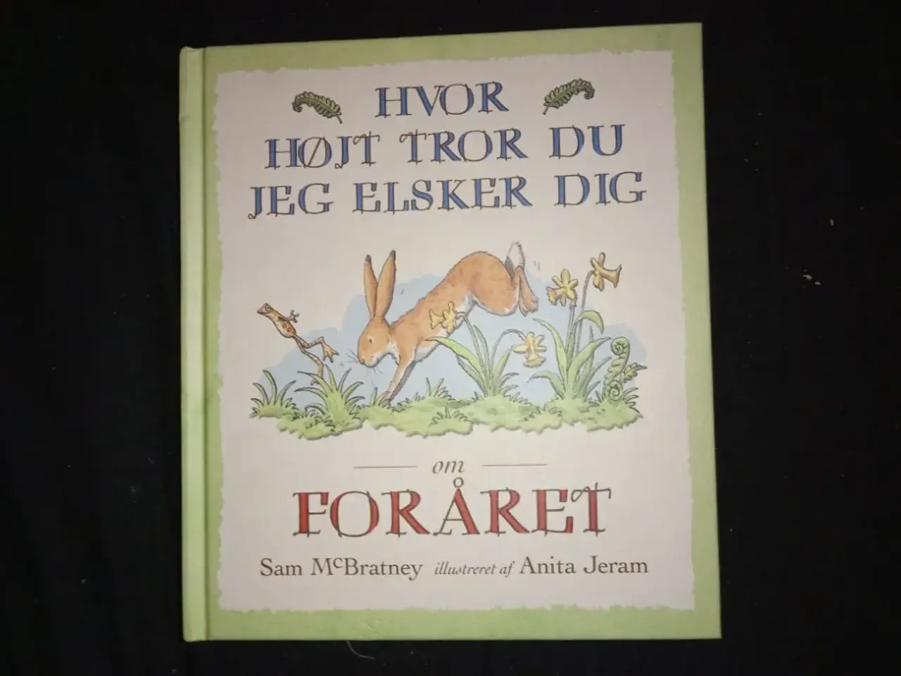 Billede 4 - Hvor højt tror du, jeg elsker dig
