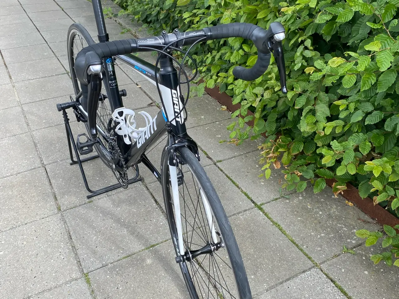 Billede 2 - Giant Defy