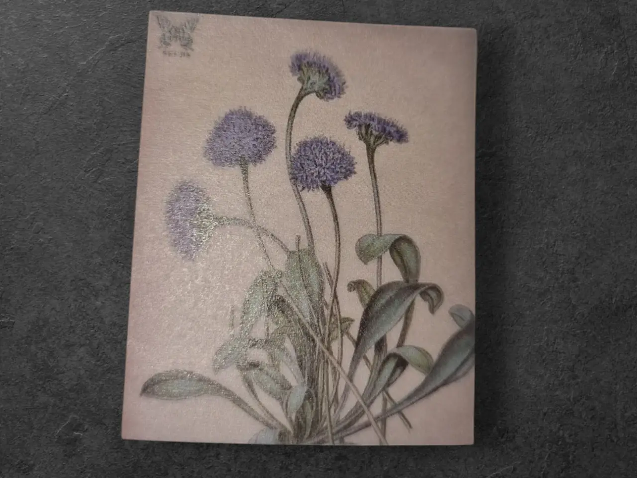Billede 4 - Annonce 23 - Hobby