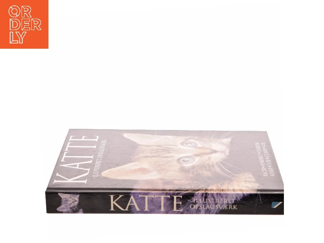 Billede 2 - Katte : illustreret opslagsværk af Lin Esposito (Bog)
