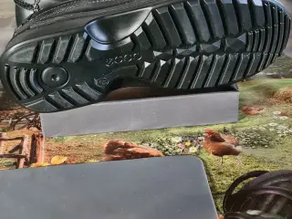 Eccosko