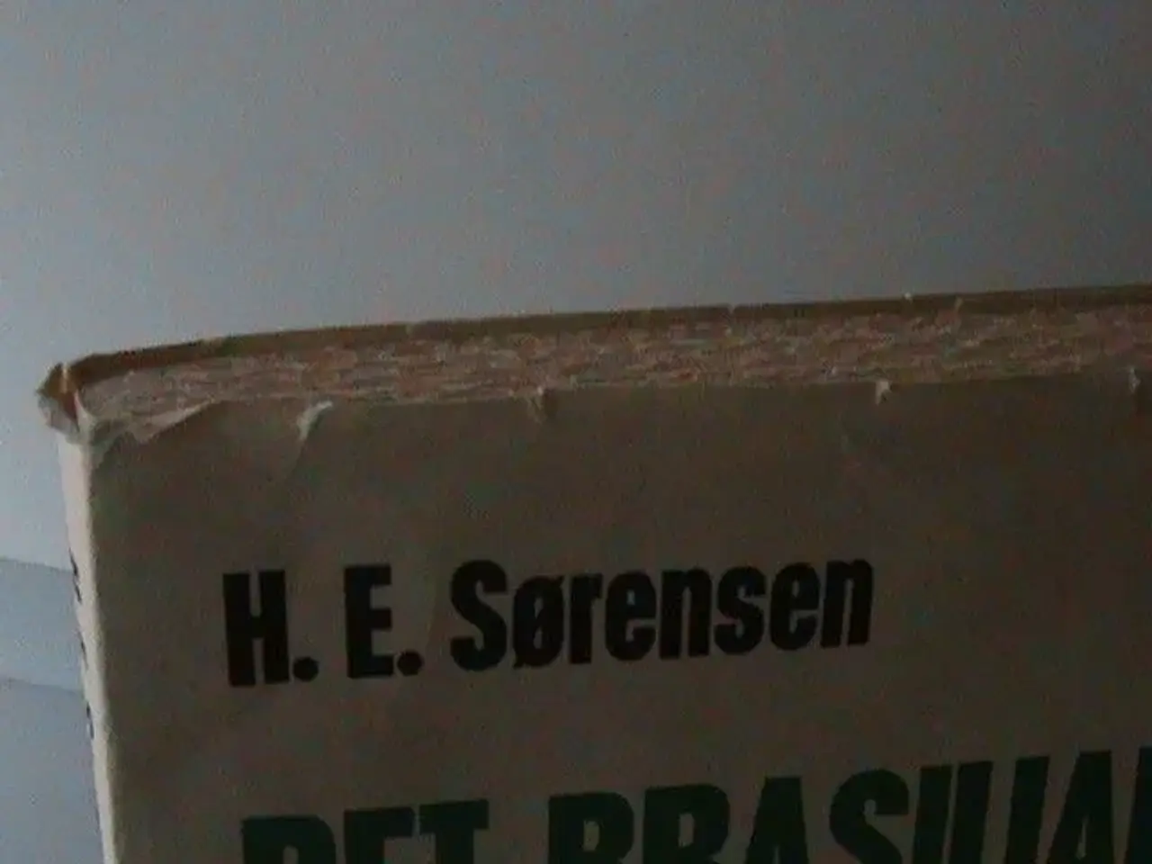 Billede 3 - Bog: Det brasilianske mirakel