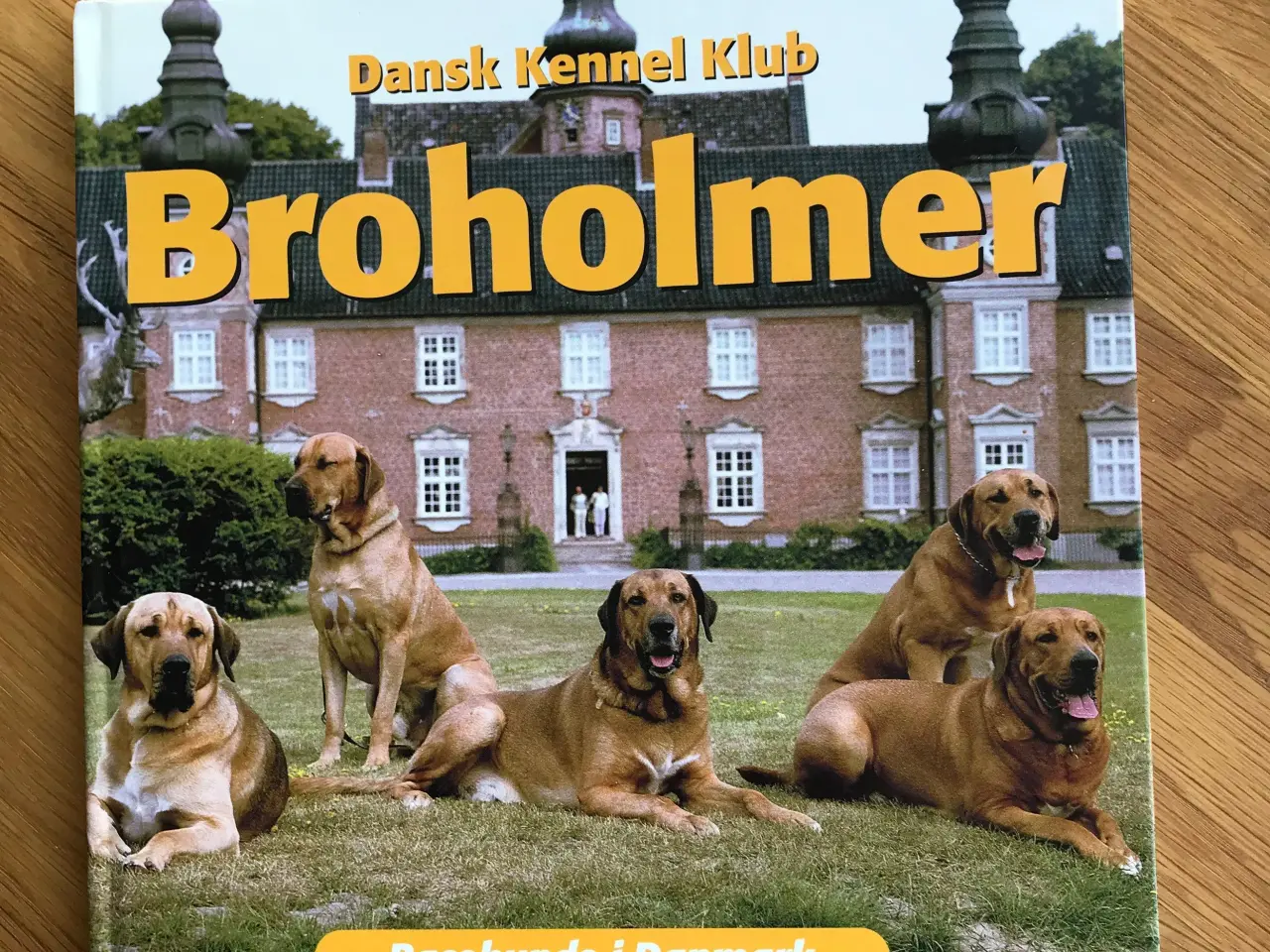 Billede 1 - Broholmer - Racehunde i Danmark