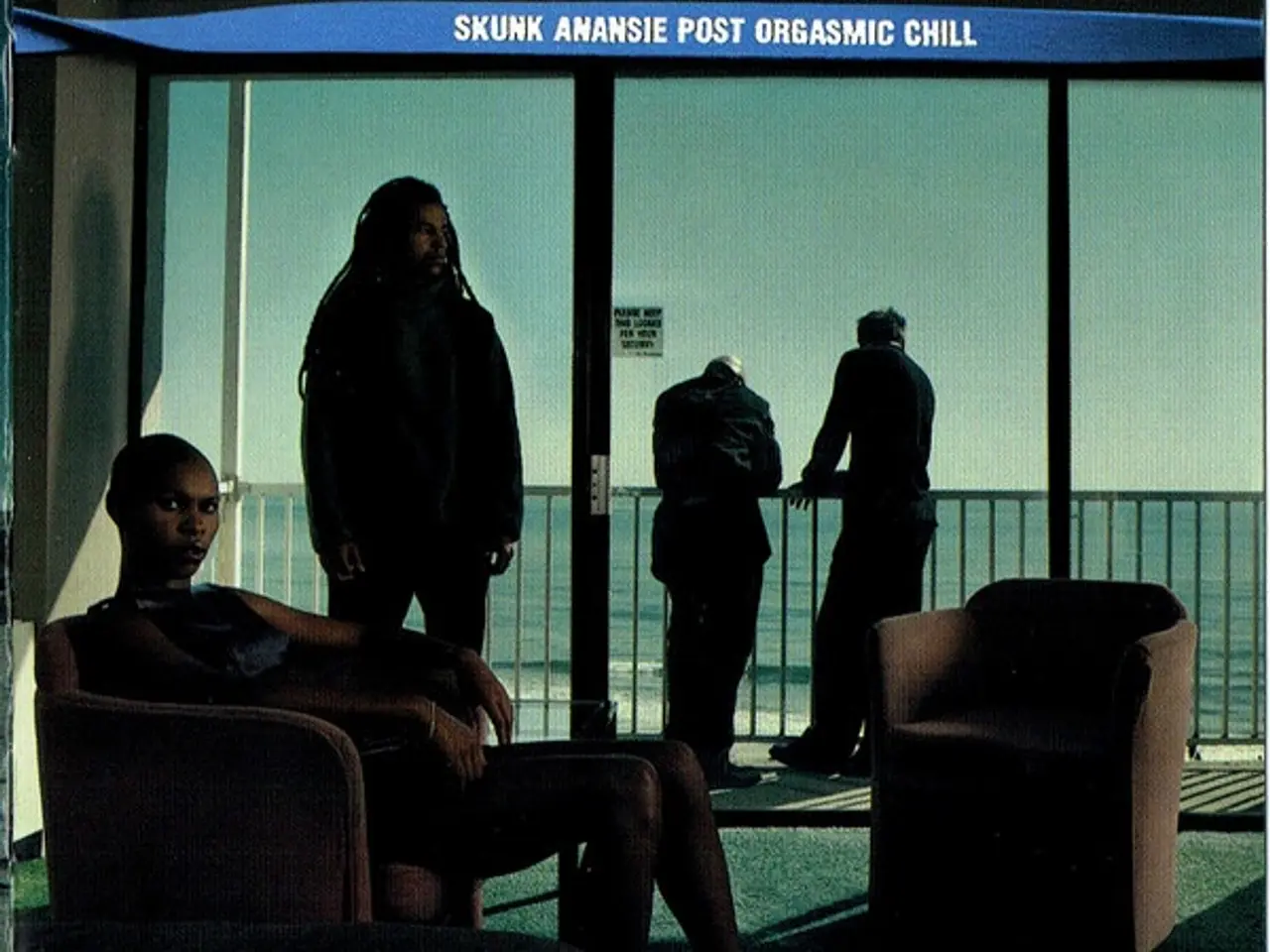 Billede 1 - Skunk Anansie – Post Orgasmic Chill – CD