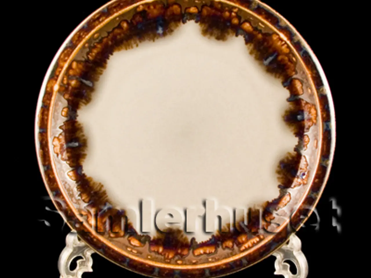 Billede 1 - Mexico Kagetallerken 17 cm.