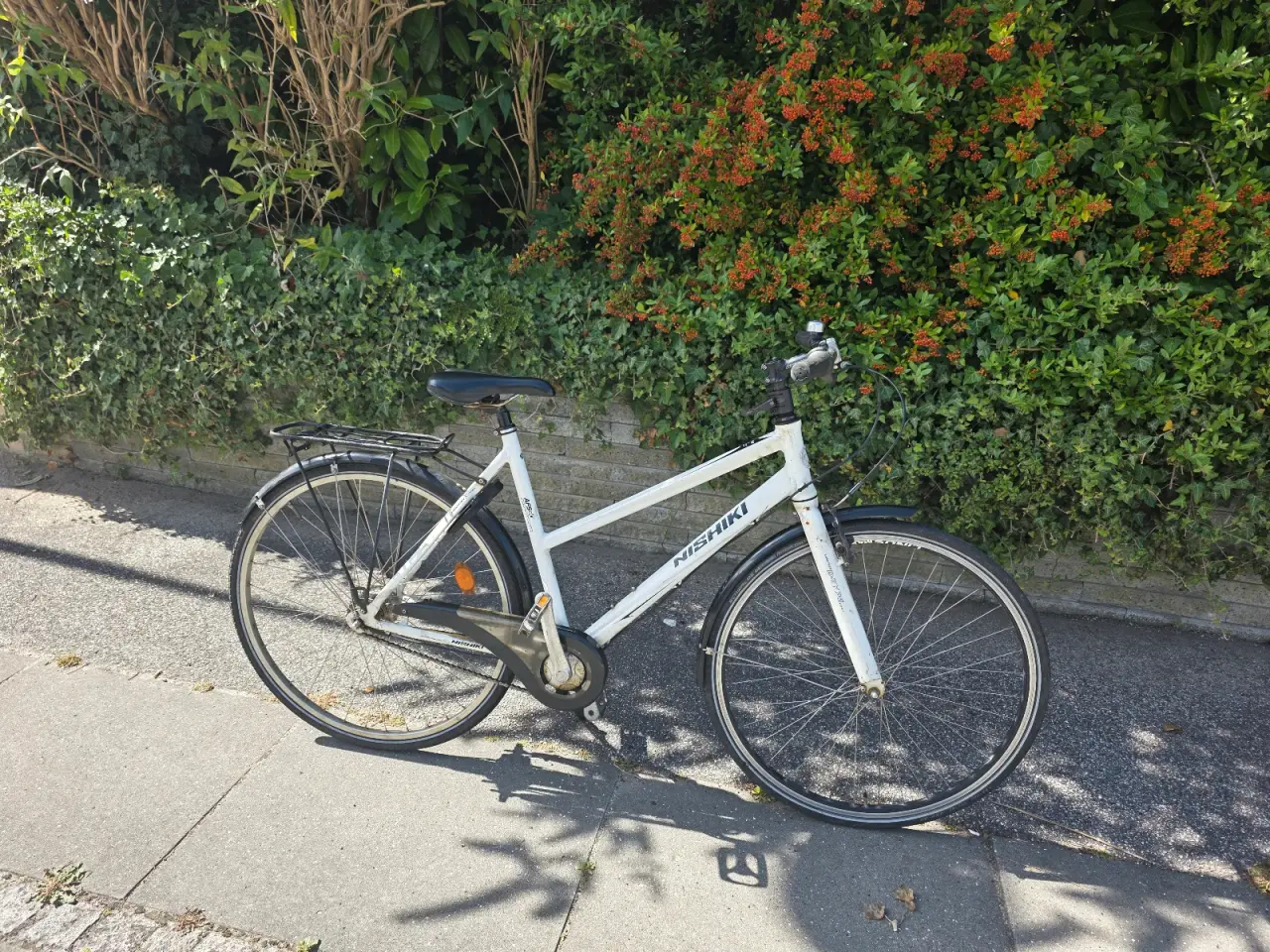 Billede 1 - Damecykel