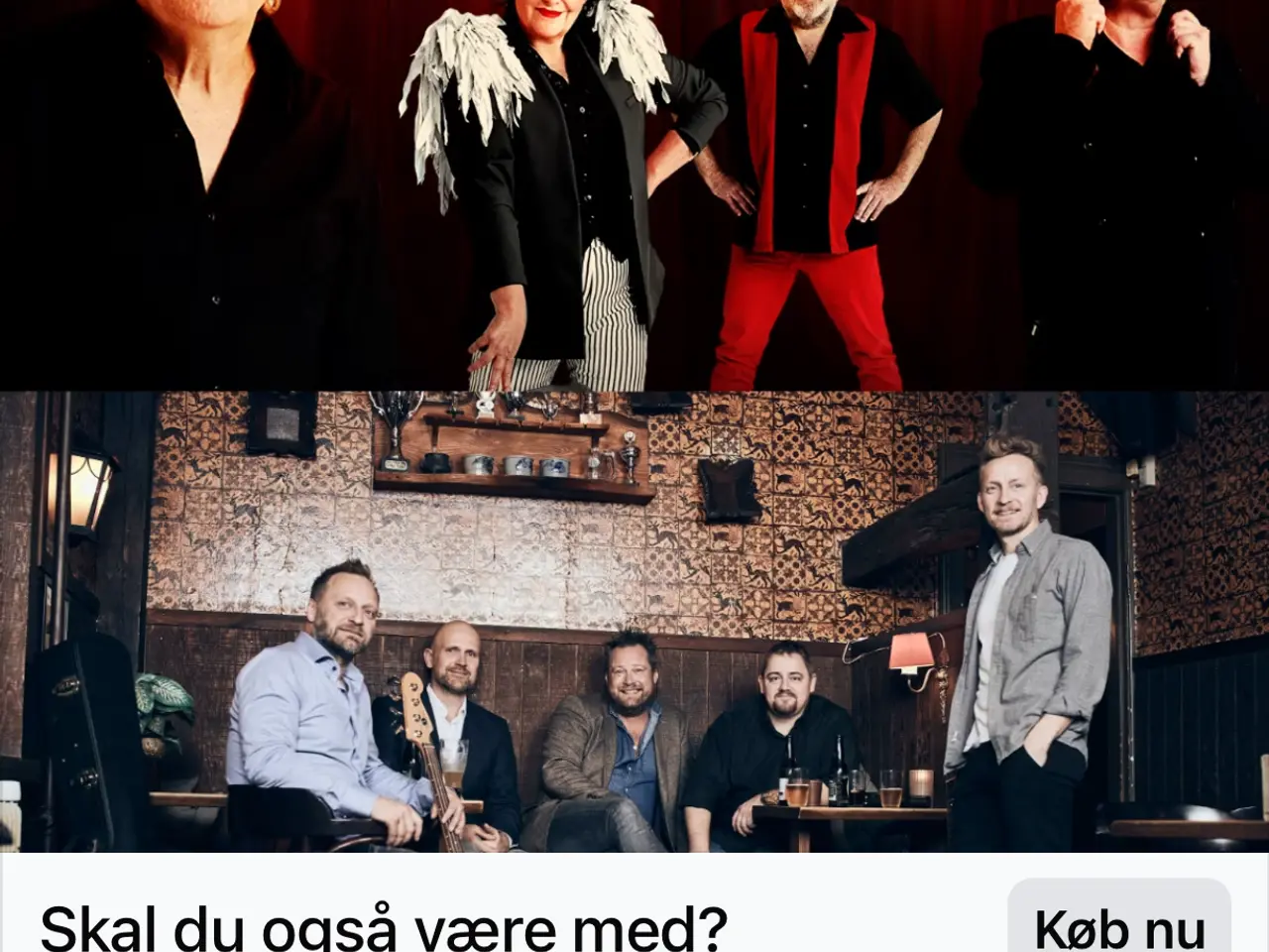 Billede 1 - Dodo og En lille pose støj