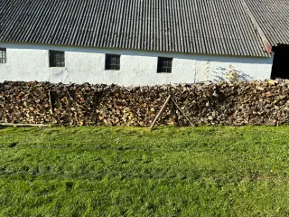 bøgebrænde