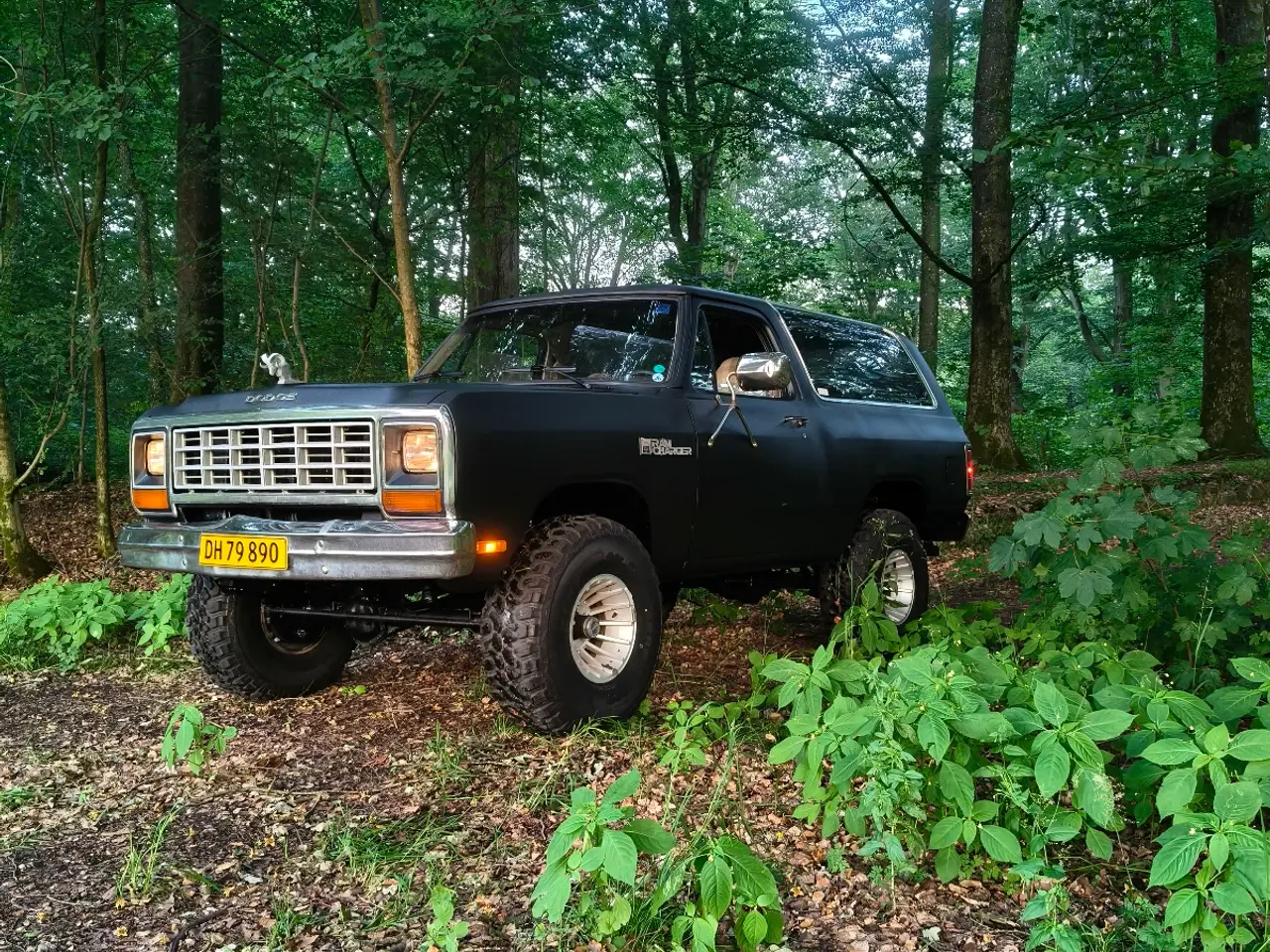 Billede 10 - Dodge Ramcharger