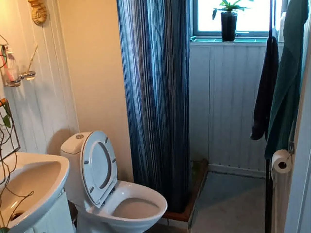 Billede 3 - Rummelig og hyggelig kolonihave sælges.