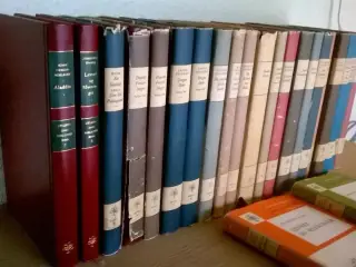 Dansk litteratur