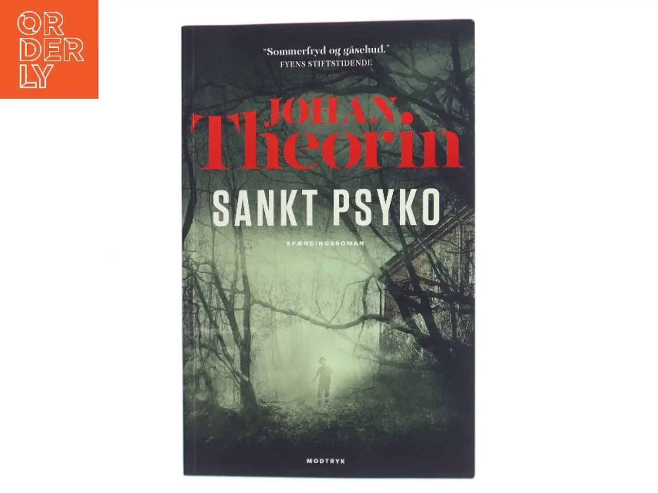 Billede 1 - Sankt Psyko : spændingsroman af Johan Theorin (Bog)