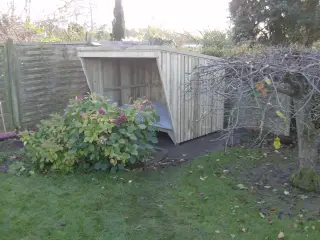Shelter