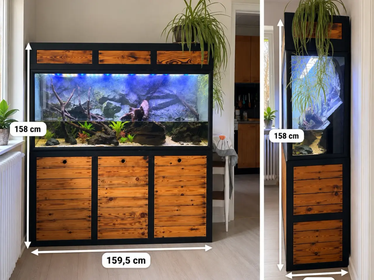 Billede 1 - Stort akvarium med skab og tilbehør – 159,5 x 55 x
