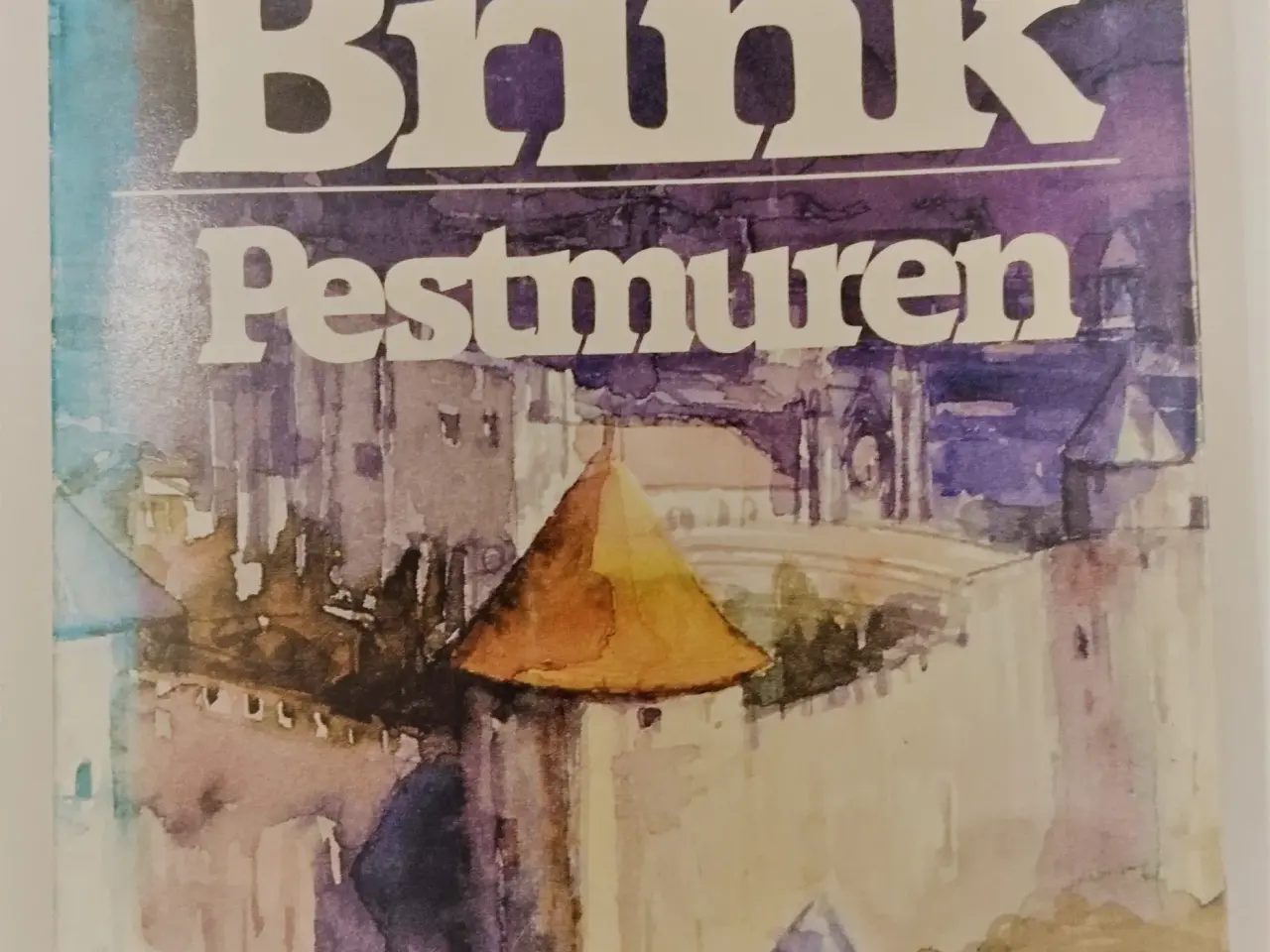 Billede 1 - Pestmuren. Af André Brink