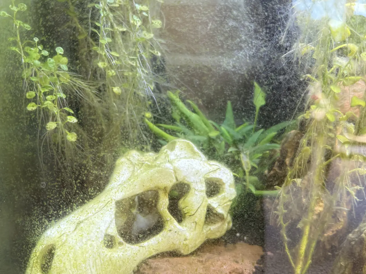 Billede 2 - 40L Superfish akvarie