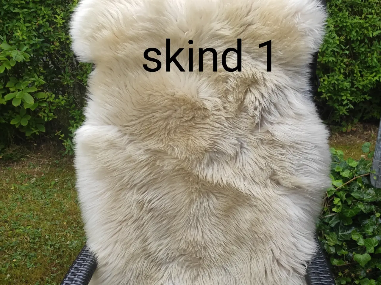Billede 2 - Flotte lyse lammeskind - har 3 stk.