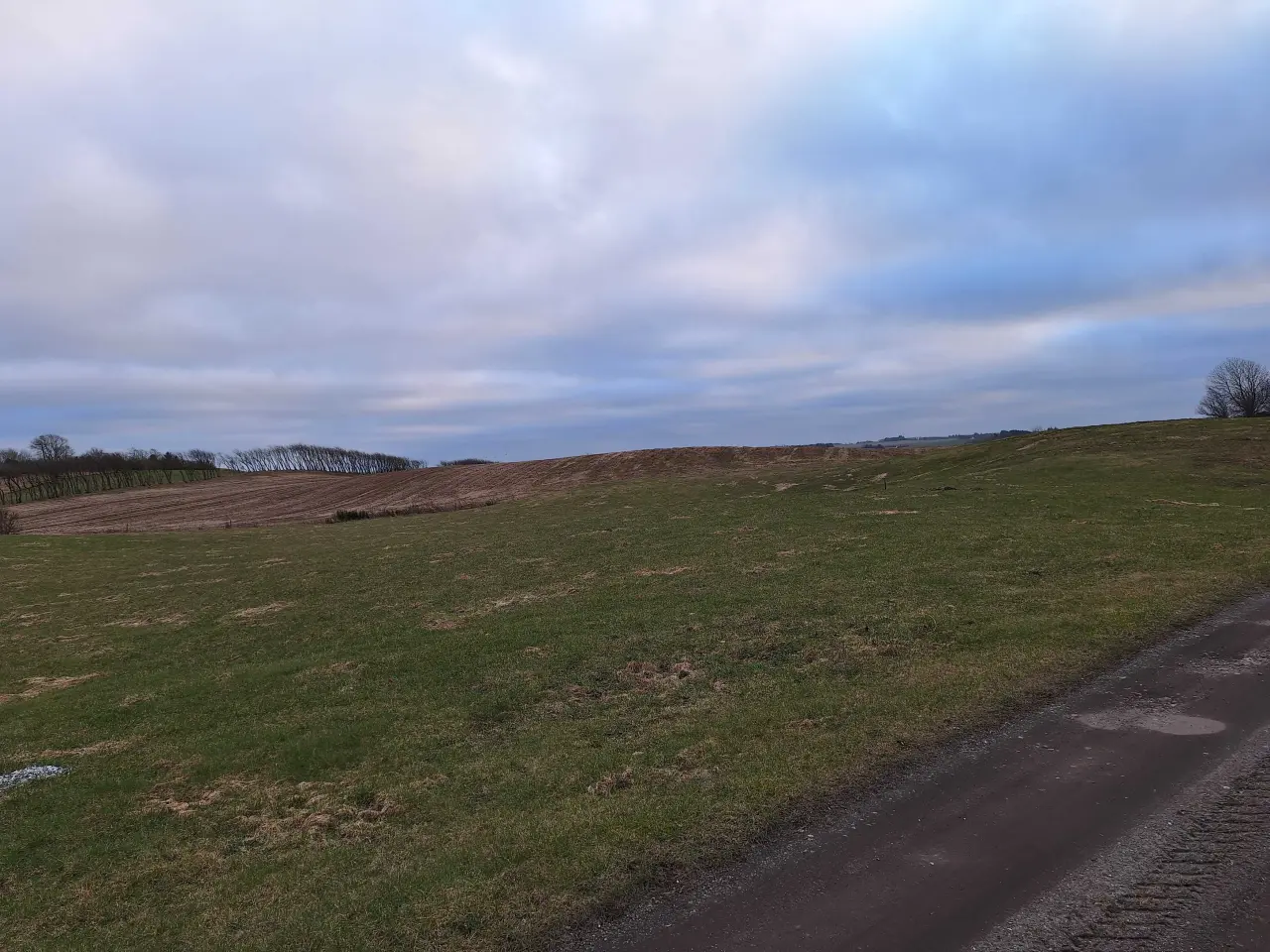 Billede 1 - 1,7 ha til afgrænsning/ wrap/ sommer fold 